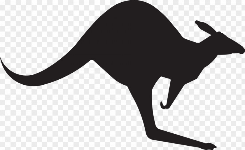 Kangaroo Royalty-free Clip Art PNG