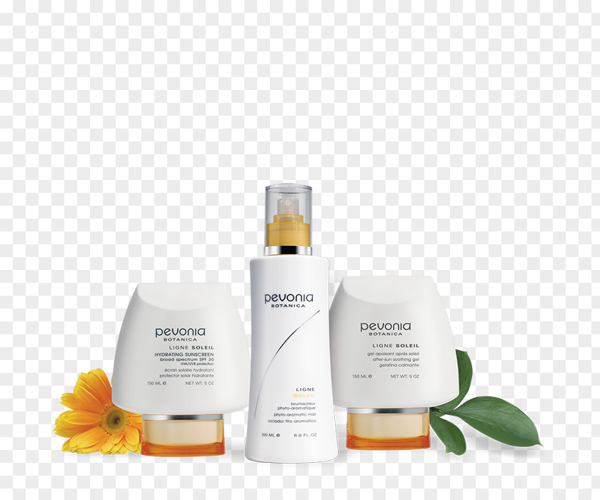 Natural Skin Care Lotion Sunscreen Factor De Protección Solar Cosmetics After Sun PNG