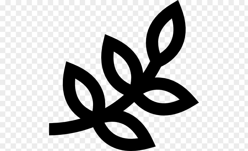 Olive Symbol PNG