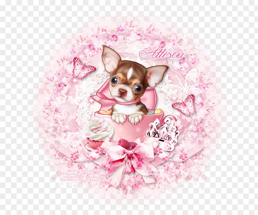 Puppy Chihuahua Love Dog Breed Companion PNG