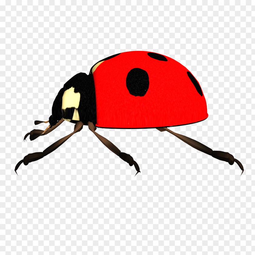 Red Insects Ladybird Clip Art PNG