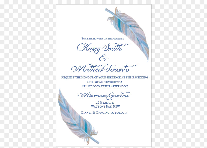 Butterfly Invitation Feather PNG