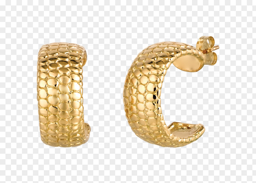 Gold Earring Colored Jewellery Bangle PNG