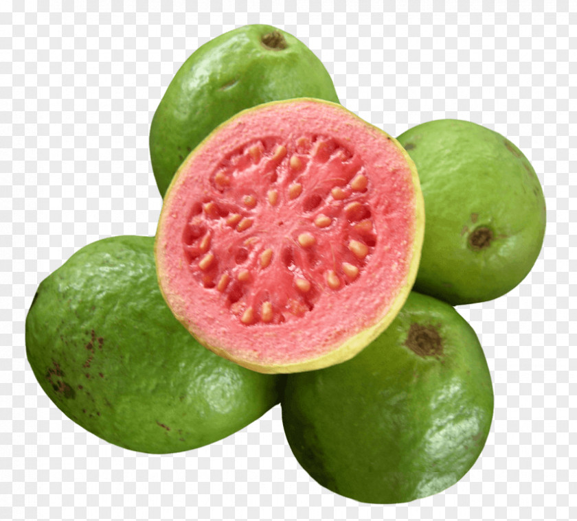 Guava Tree Common Tropical Fruit Juice PNG
