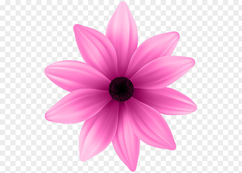 Pink Flower Purple Clip Art PNG