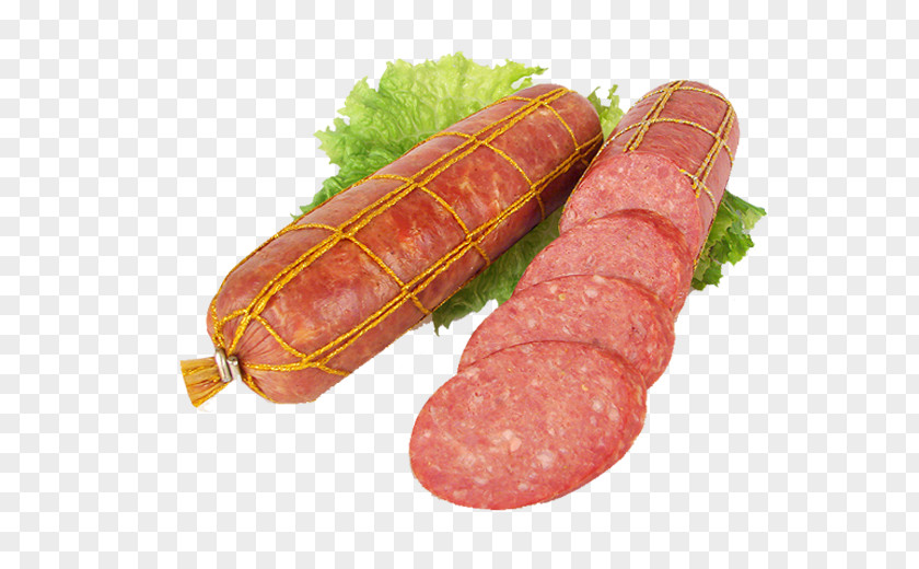 Sausage Thuringian Salami Cervelat Bratwurst Mortadella PNG