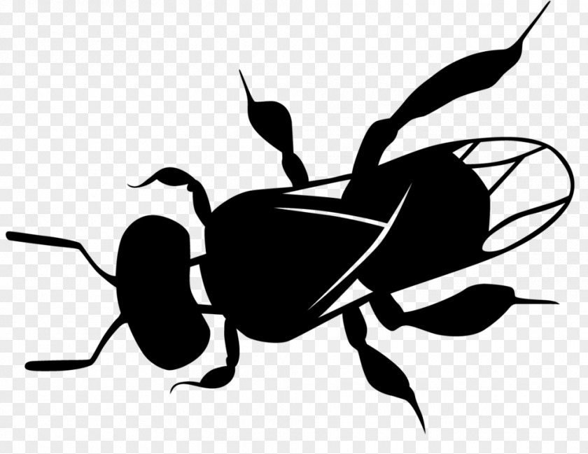 Ant Blackandwhite Insect Pest Membrane-winged Black-and-white PNG
