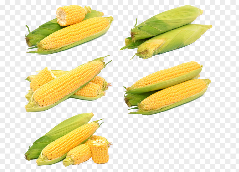 Corn On The Cob Maize Sweet Kernel Ear PNG
