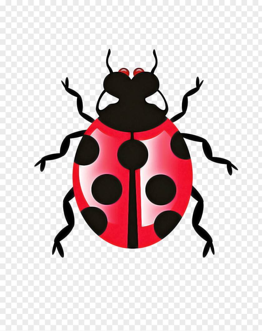 Darkling Beetles Pest Ladybird PNG