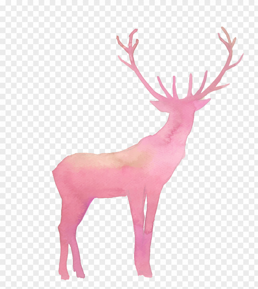 Deer Reindeer Elk PNG