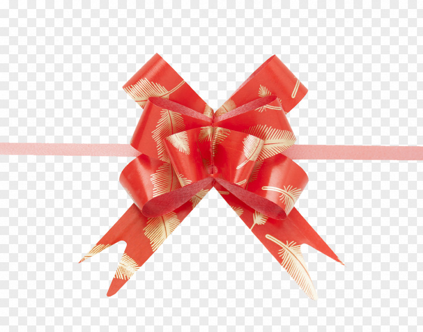 Gift Knot,Bow Shoelace Knot Gratis PNG