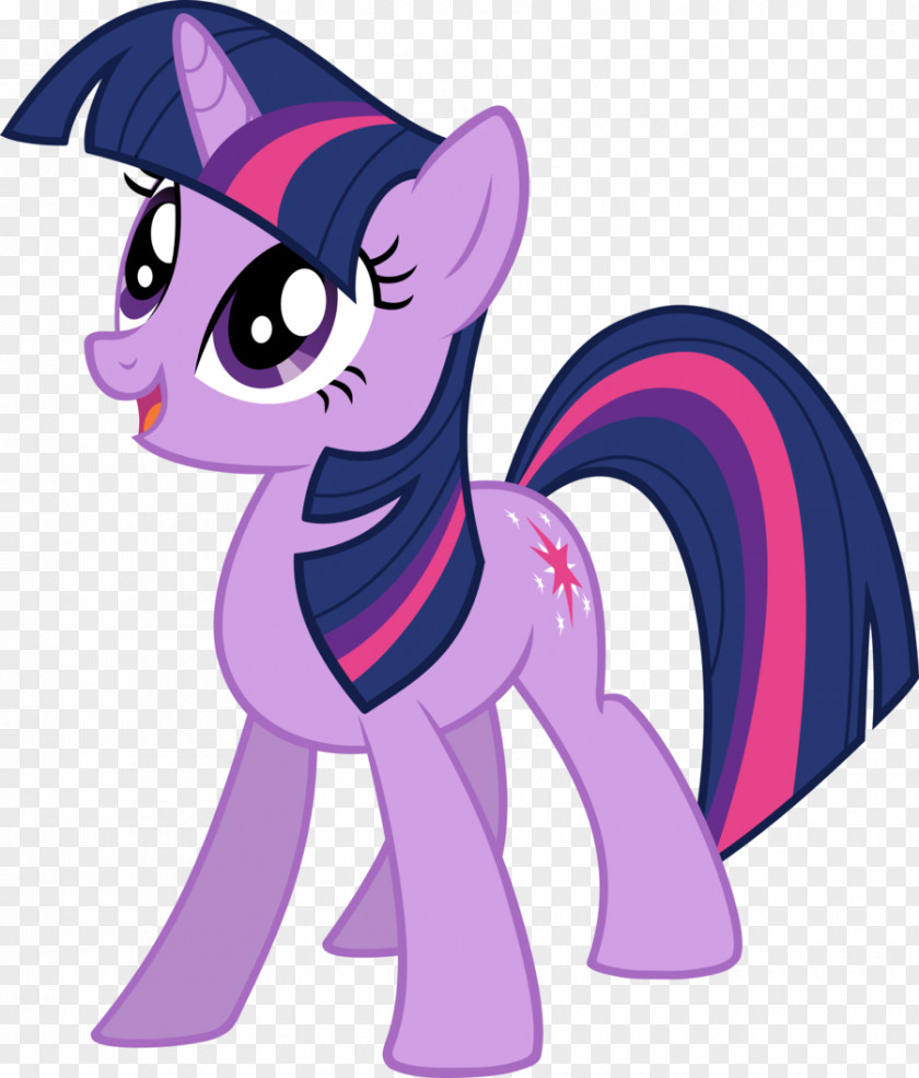 My Little Pony Twilight Sparkle Pinkie Pie Rainbow Dash Rarity PNG