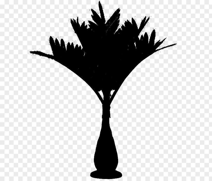 Palm Trees Branch Light-emitting Diode Trunk PNG