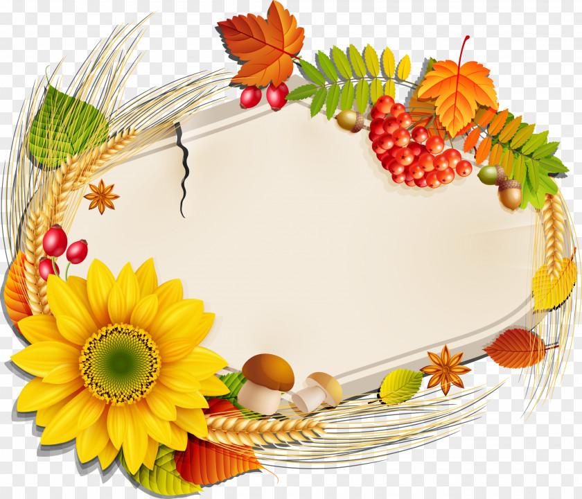 Vector Autumn Harvest Material PNG