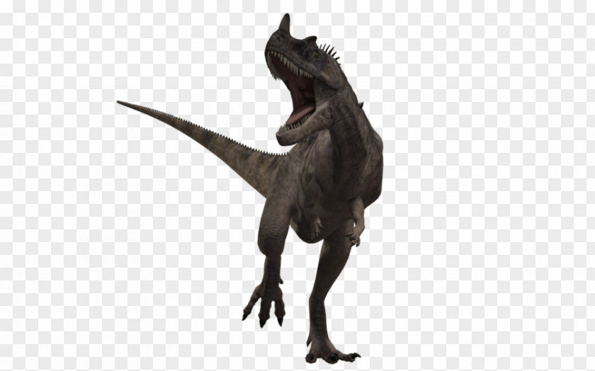 Dinosaur Ceratosaurus Tyrannosaurus Torvosaurus Allosaurus Majungasaurus PNG