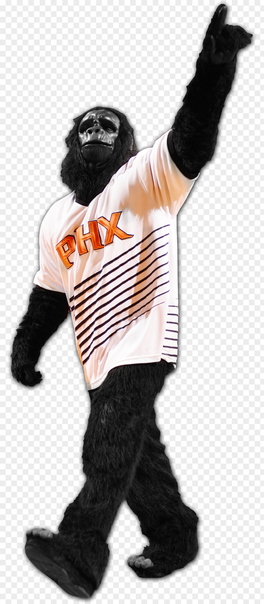 Mascots Phoenix Suns NBA 2K17 Mascot The Gorilla PNG