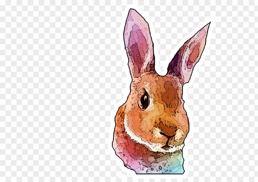 Rabbit Rabbits And Hares Hare Watercolor Paint Wood PNG