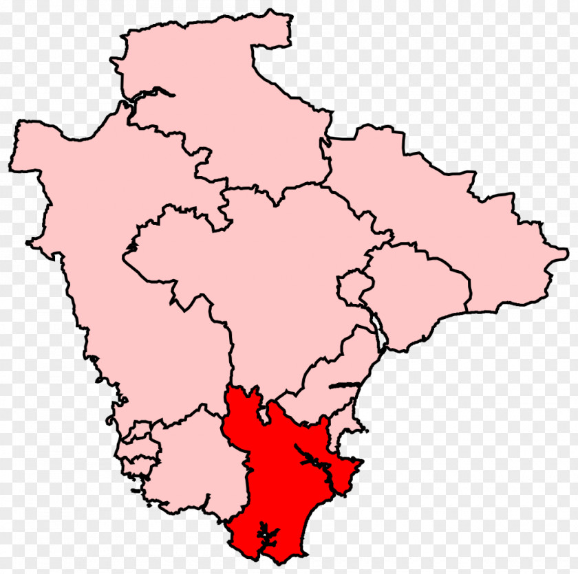 Totnes Cynon Valley Torbay Teignmouth Electoral District PNG