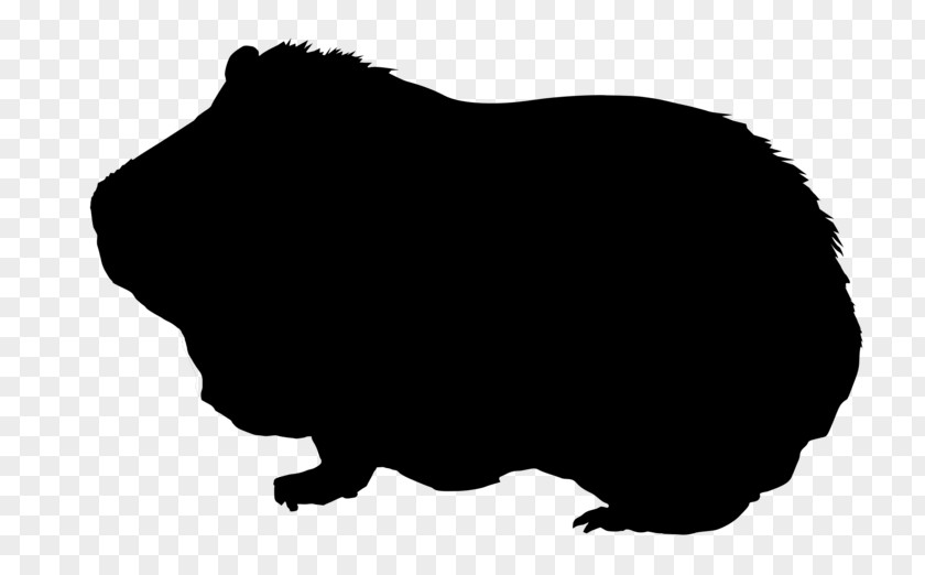Pig Guinea Silhouette Drawing Clip Art PNG