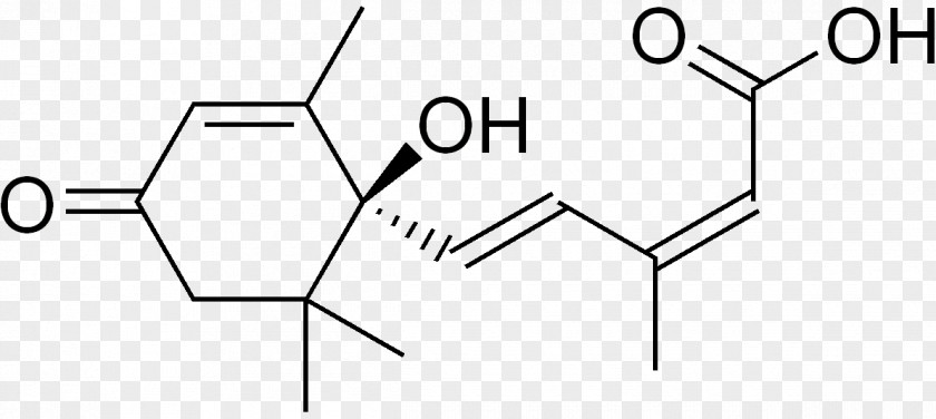 Plant Abscisic Acid Hormone Structure Gibberellic Zeatin PNG