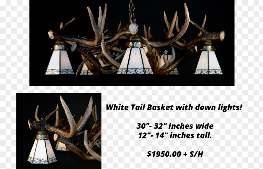 Antler White-tailed Deer Elk Chandelier PNG