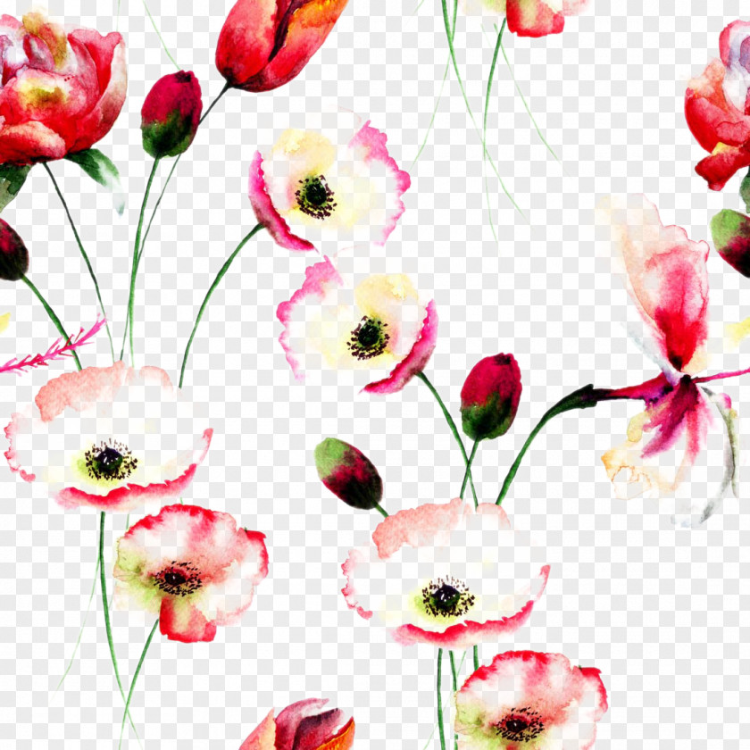 Beautiful Watercolor Flowers Background Poppy Painting Floral Design PNG