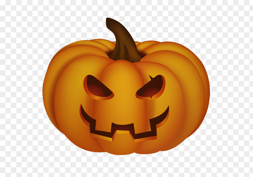 Plant Vegetable Pumpkin PNG