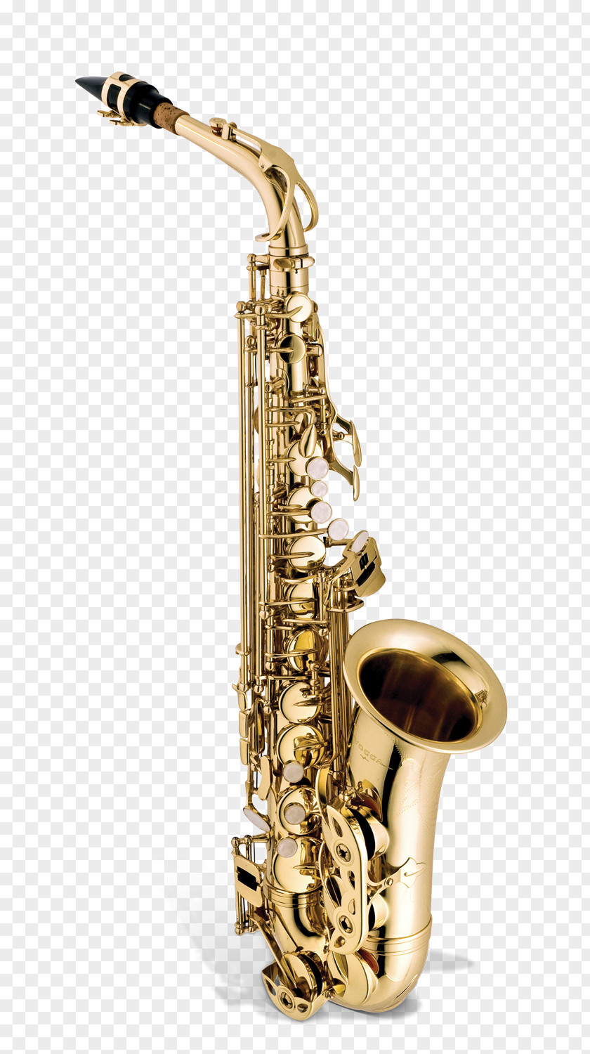 Saxophone Alto Musical Instruments Woodwind Instrument Key PNG