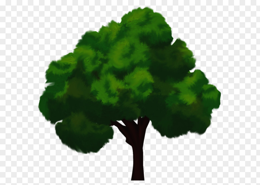 Tree High-definition Television Clip Art PNG