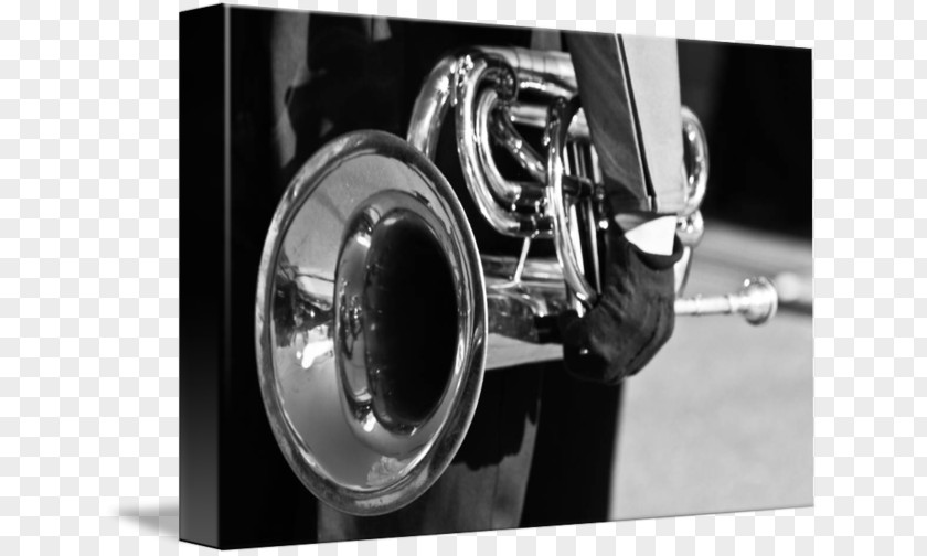 Trumpet Cornet Mellophone Euphonium Marching Band PNG