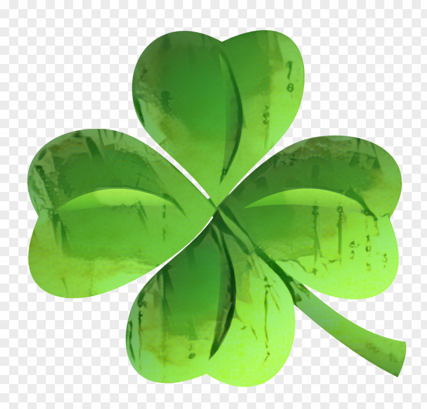 Wood Sorrel Family Flower Saint Patricks Day PNG