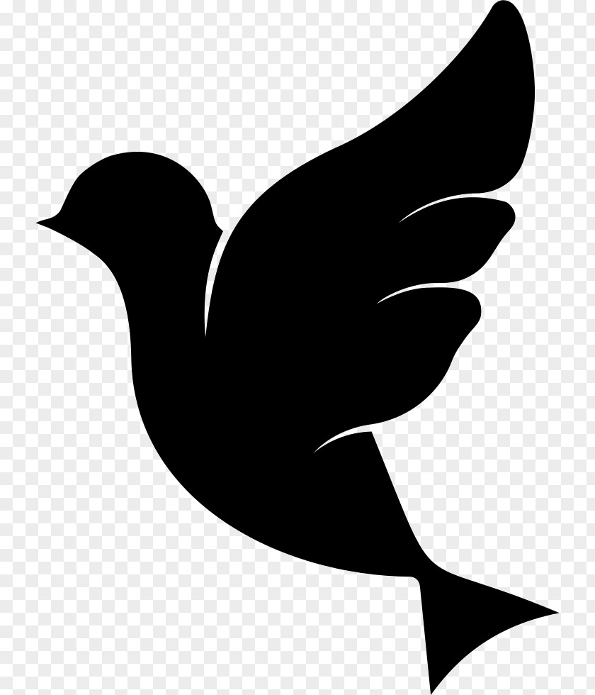 Pigeon Bird Black And White Clip Art PNG