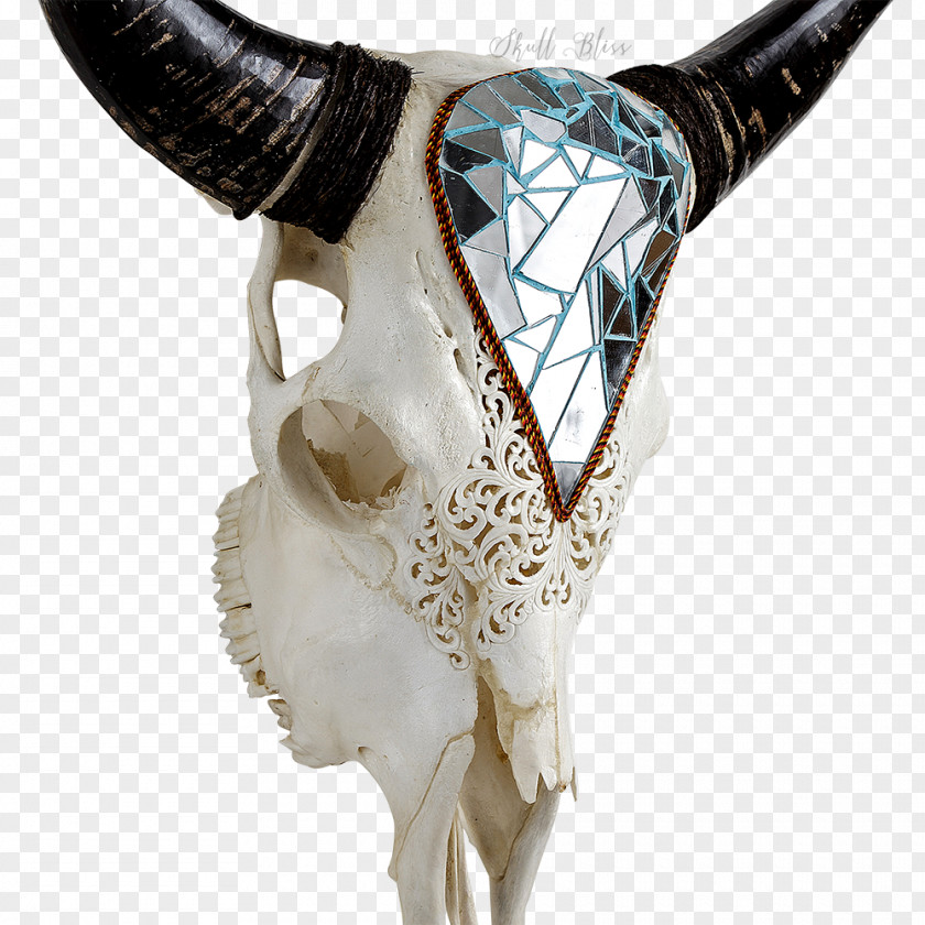 Skull Cattle Horn Bone Carving Skeleton PNG