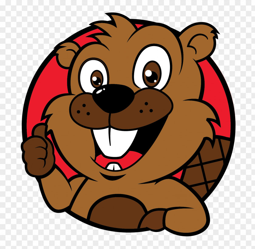 Beaver Dam Bear School Clip Art PNG