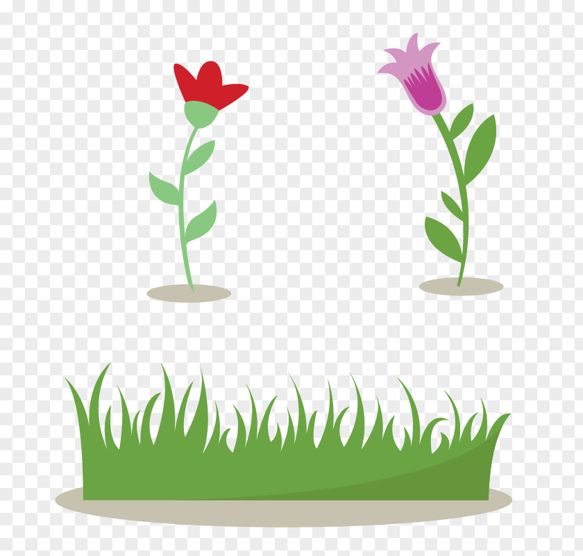 Bushes And Flowers Shrub Drawing PNG