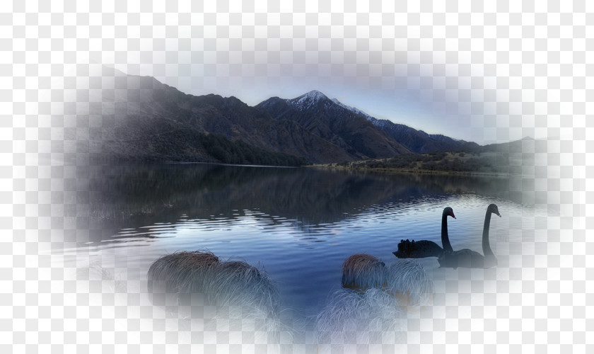 Lake Loch Water Resources District Inlet Desktop Wallpaper PNG