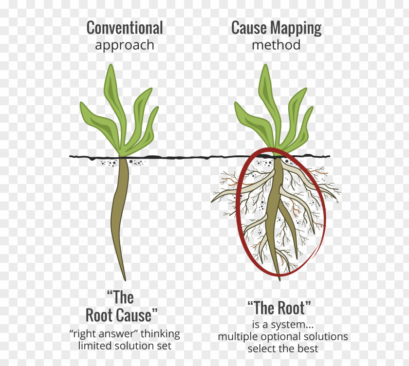 Root Cause Analysis Causality Management Ishikawa Diagram PNG