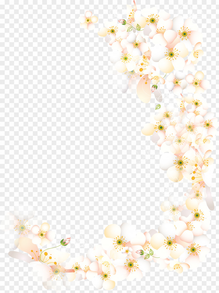 8 Cut Flowers Floral Design Floristry Petal PNG