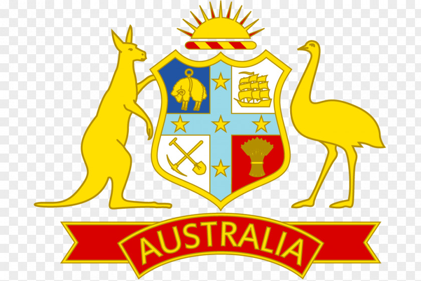 Australia National Cricket Team South Africa Football PNG
