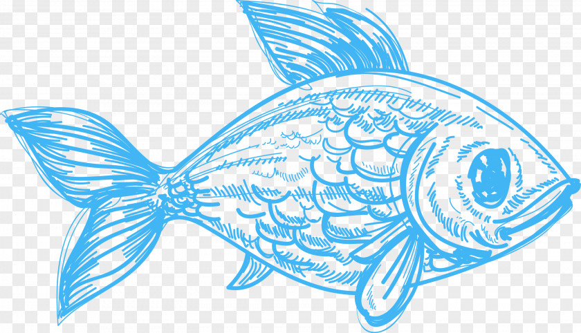 Fish Drawing Deep Sea Creature Pencil Sketch PNG