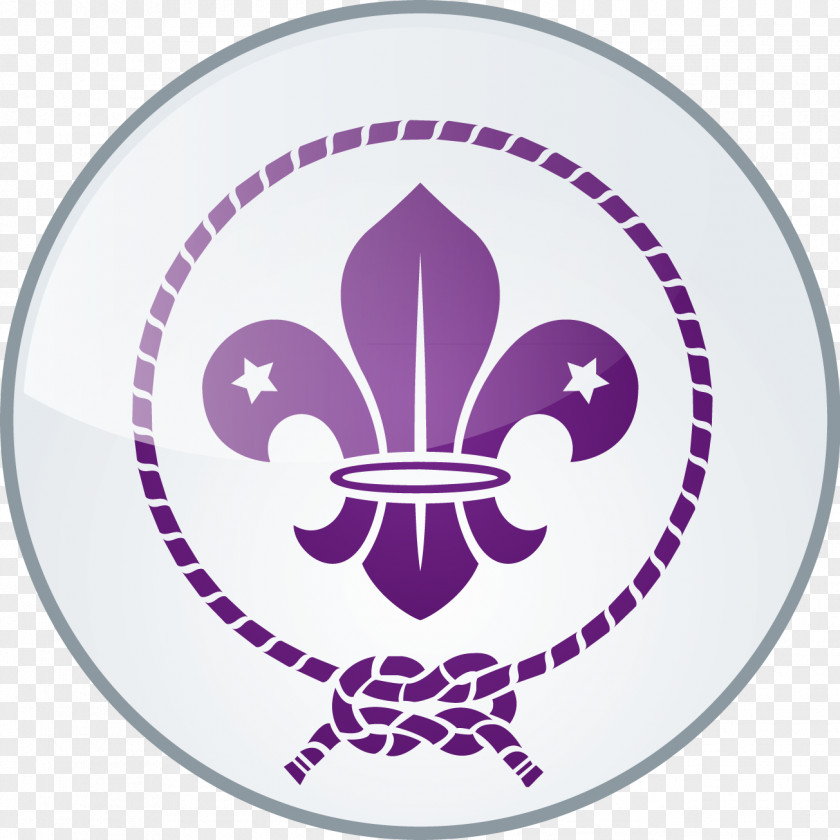 Fleur-de-lis Scouting World Organization Of The Scout Movement Emblem PNG