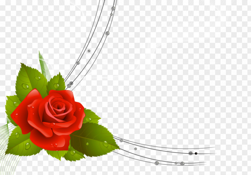 Flower Garden Roses Bouquet PNG