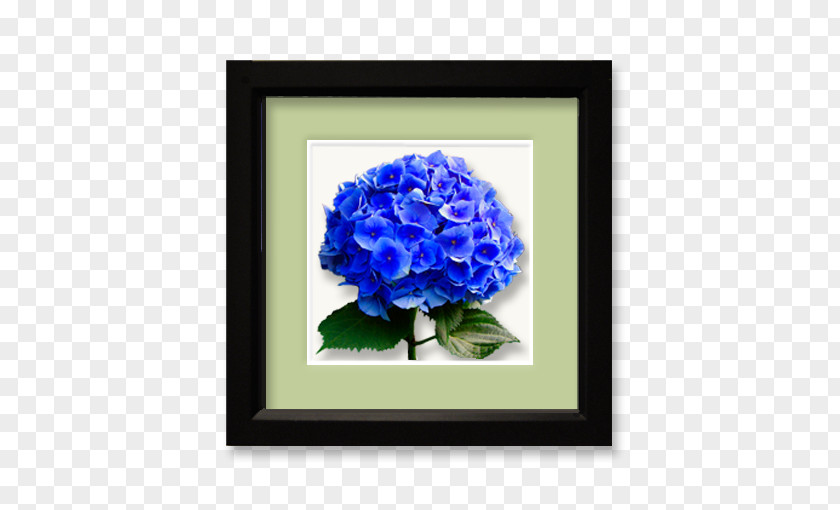 Hydrangea Cut Flowers Blue Rose PNG