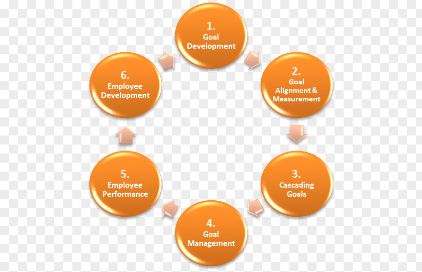 Performance Appraisal Sulfur Cycle Continual Improvement Process Research Science PNG