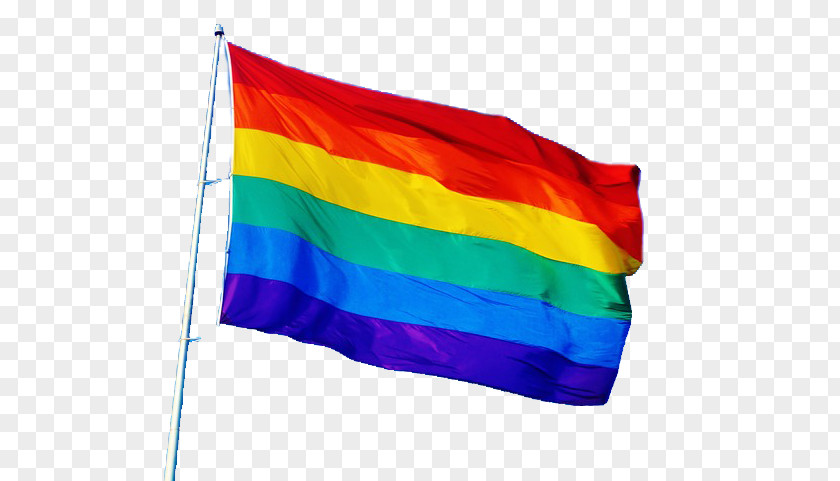 Queer Flag Rainbow PNG