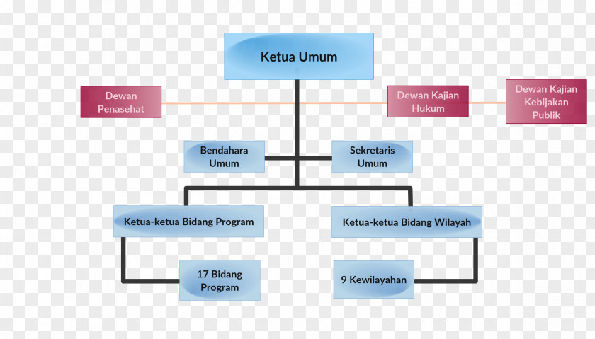 Struktur Organisasi Ikatan Notaris Indonesia Organizational Structure Notary PNG