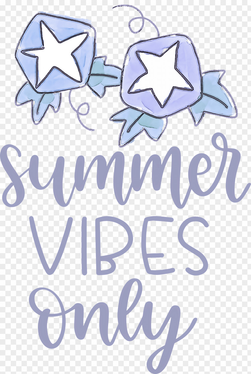 Summer Vibes Only PNG