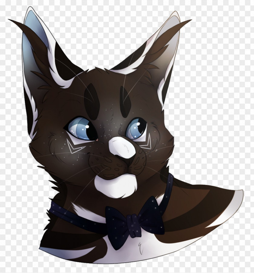 Too Fast Whiskers Cat DeviantArt Drawing PNG
