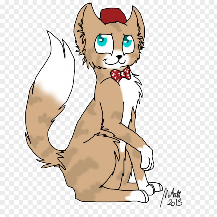 Cat Doctor Kitten Whiskers Clip Art Illustration PNG