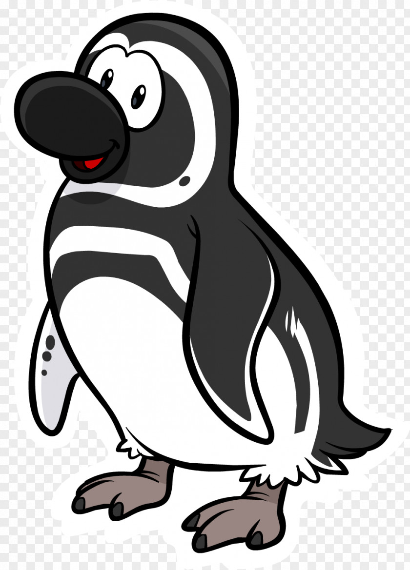 Penguins Magellanic Penguin Punta Tombo Club Drawing PNG